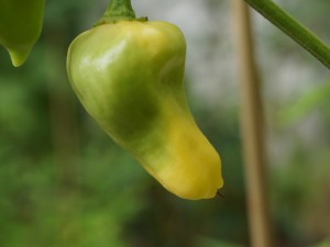 20160901 021