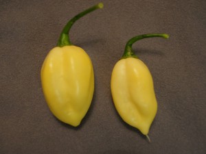 20160905 006
