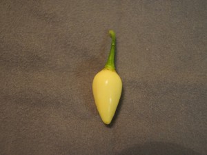 20160905 007