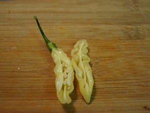20160905 009