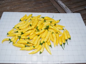 20160907 004