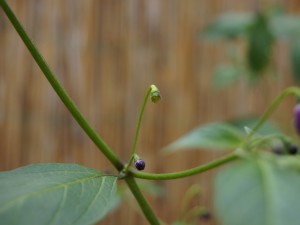 20160911 009