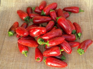Jalapeños