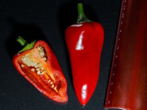 Pimiento_Piquillo_Frucht