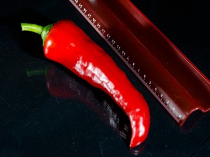Carmen_F1_Frucht1