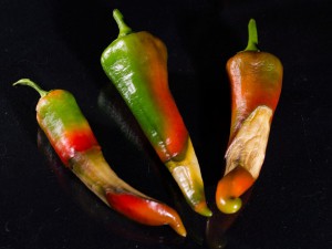 Carmen_F1_Frucht3