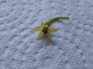 IMG_20160924_122856