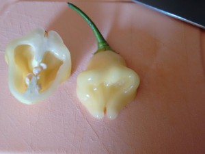 IMG_20160924_154313029