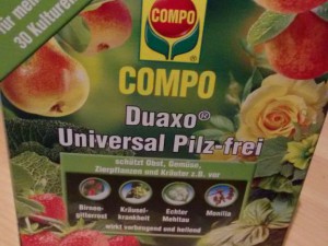 IMG_20160924_231806583