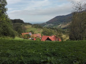 IMG_20160917_114213