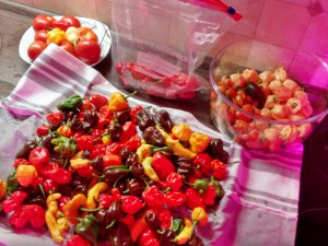 IMG_20161003_210843178_HDR
