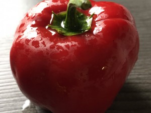 Rocoto Incas 3