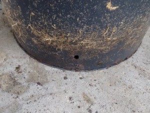 IMG_20161007_125714032