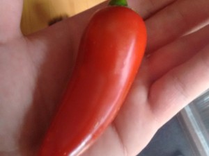 Jalapeno
