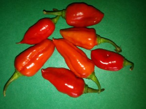 IMG_20161103_104438