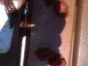 IMG_20161122_115647