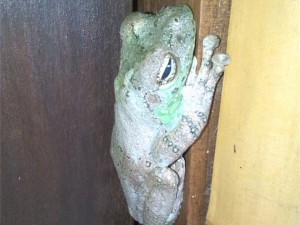 IMG_20161124_110220