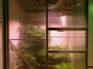 Chilihaus_20161126
