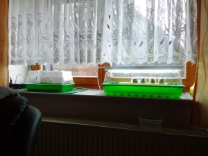 IMG_20161130_132739