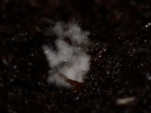 2016-12-01 002