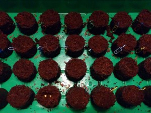 IMG_20161205_204118841