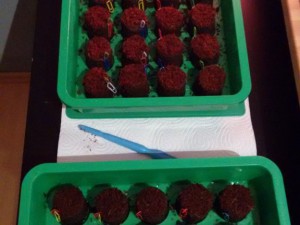 IMG_20161205_212302531