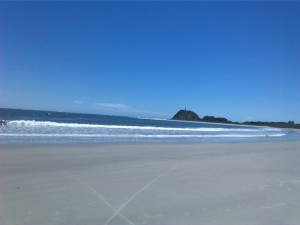 IMG_20161205_122128