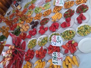 IMG_20161211_135219
