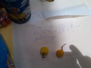 IMG_20161213_122711
