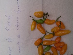 IMG_20161213_115451
