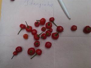 IMG_20161213_114951