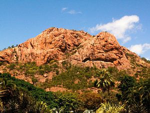 IMG_3454