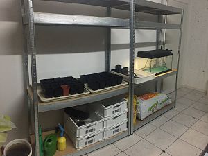 IMG_2713