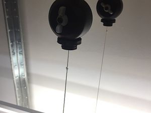 IMG_2733