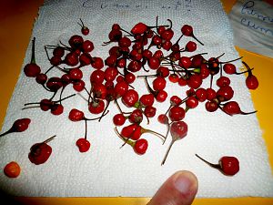 P1280346