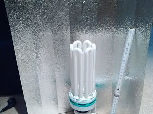 LSR 125w Dual Spectrum