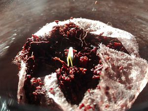 IMG_20170101_093745