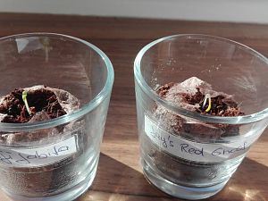 IMG_20170102_120540
