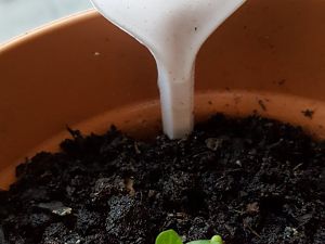 20170109_090420[1]
