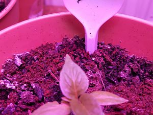 20161231_093248[1]