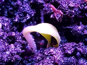 20170113_160814[1]