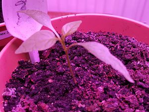20170113_160720[1]
