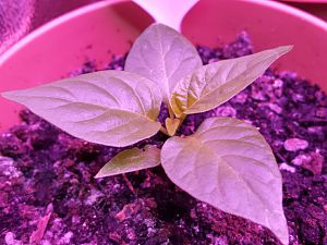 20170113_160558[1]