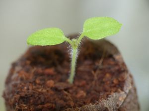 P1000473