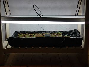 P1100760