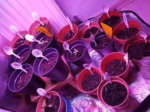 20170129_162229[1]