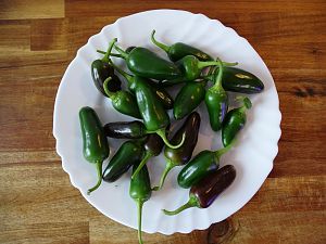 Jalapeno_Brown_20170205