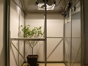 Chilihaus_innen_20150228