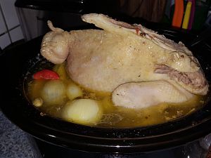20170211_163955[1]