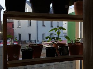 20170213_093250[1]